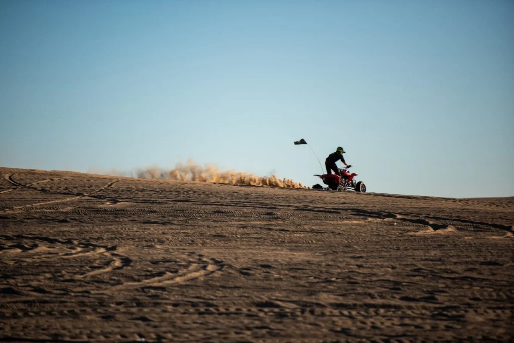 Detachable LED Whip for RVs Detachable LED Whip for RVs